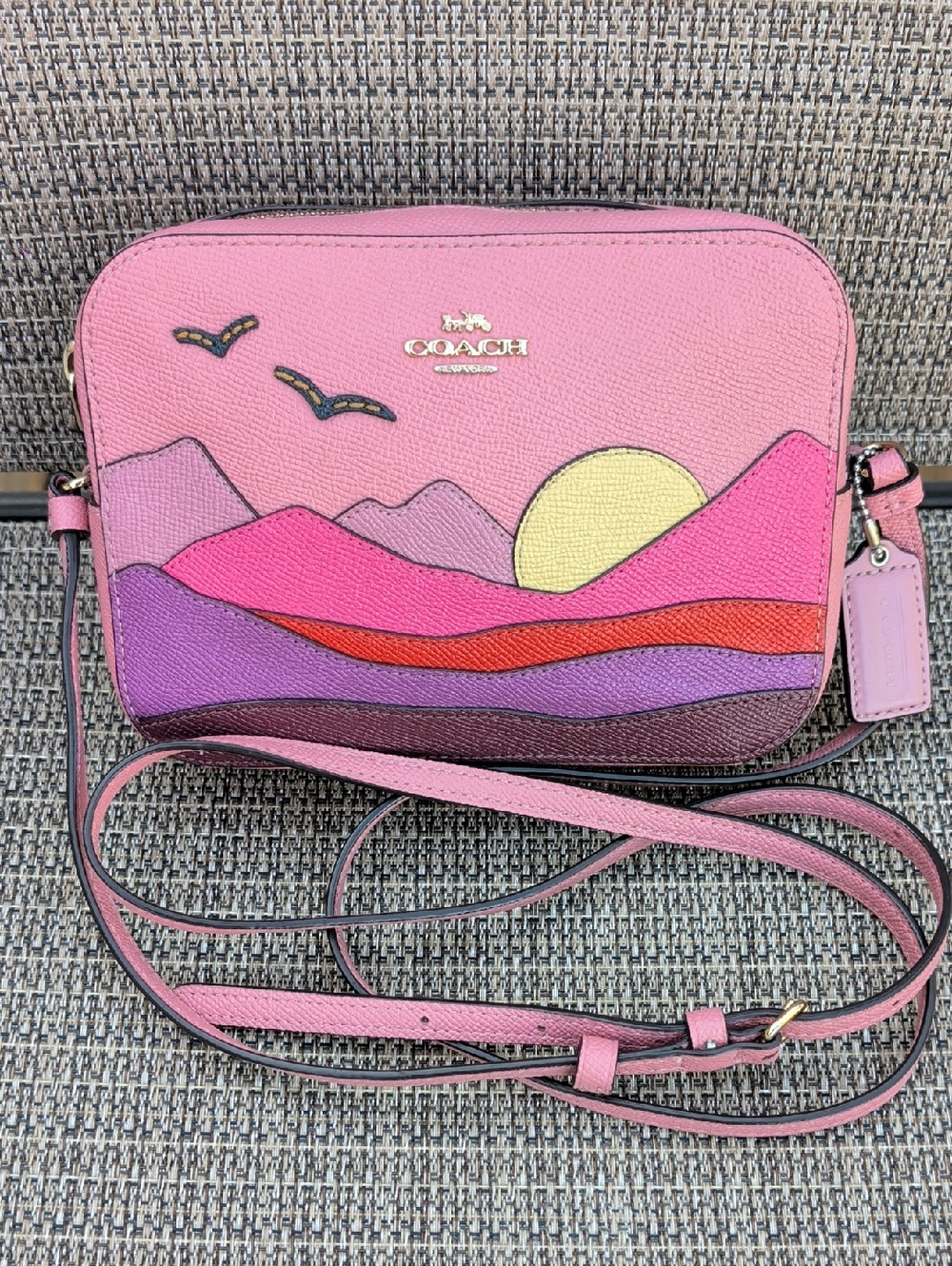 Coach Mountain Motif Mini Camera Bag (C4561) Pebbled Leather